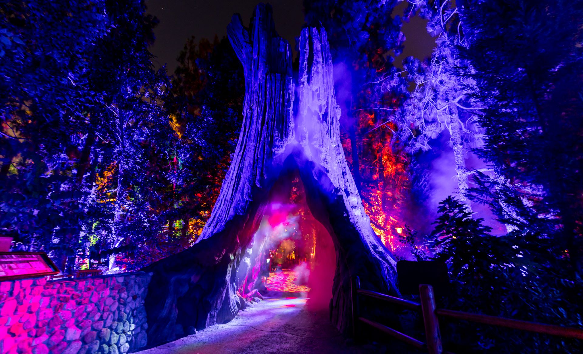 A lit redwood tree tunnel in Villains Grove at Disney California Adventure Park. | CREDIT: Disney
