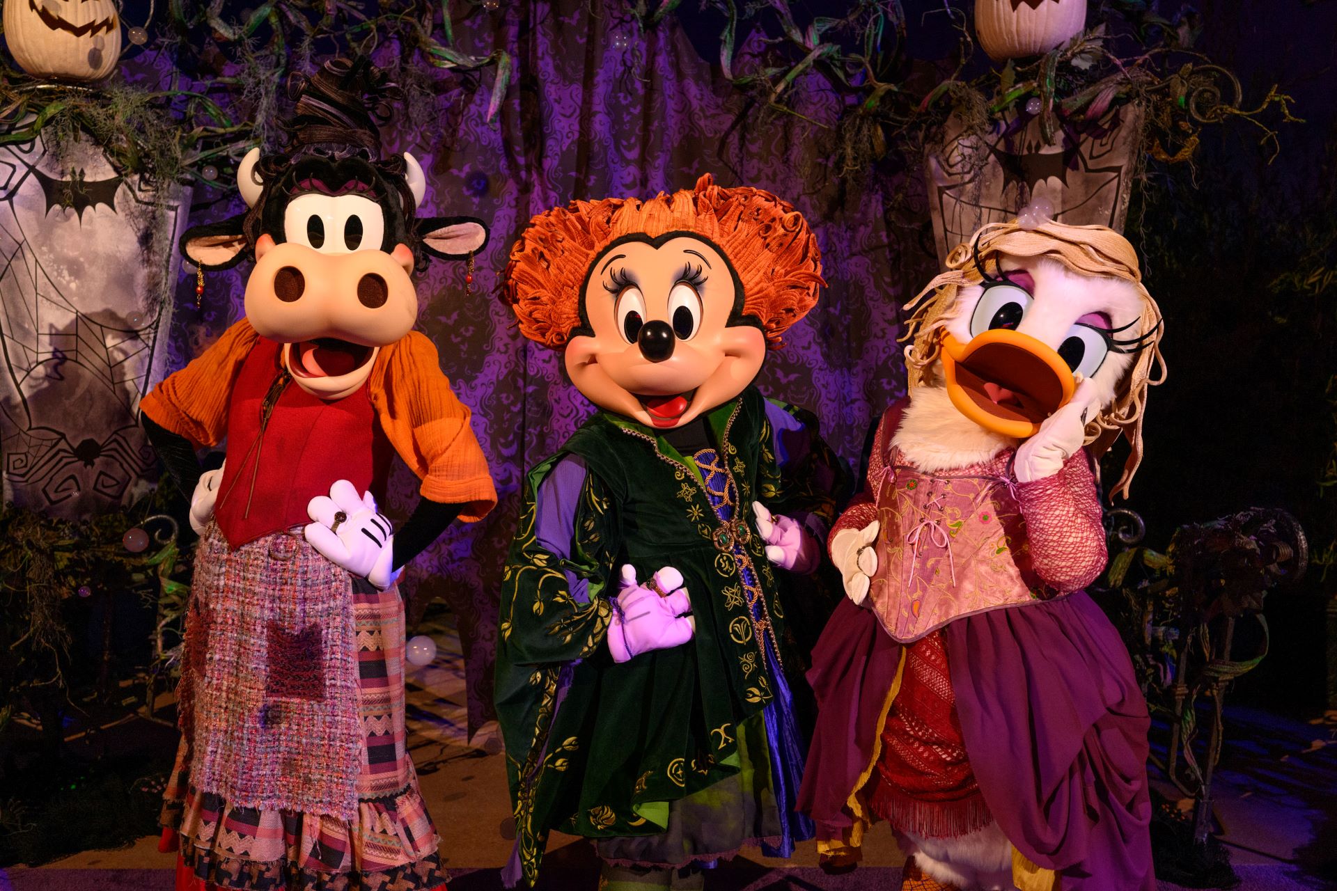 Minnie Mouse, Daisy Duck and Clarabelle Cow dressed as the Sanderson Sisters at Disney California Adventure Park. | CREDIT: Disney