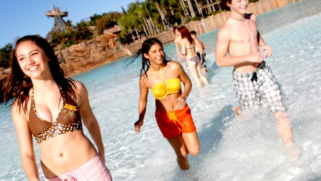 Thumbnail of Typhoon Lagoon Surf Pool