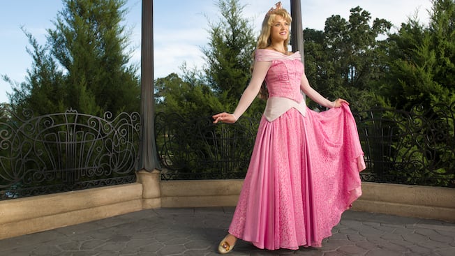 Thumbnail of Meet Princess Aurora in France