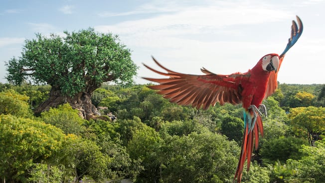 Thumbnail of Animal Encounters: Winged Encounters – The Kingdom Takes Flight