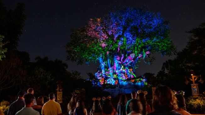 Thumbnail of Tree of Life Awakenings