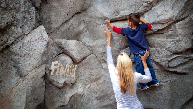 Thumbnail of Redwood Creek Challenge Trail