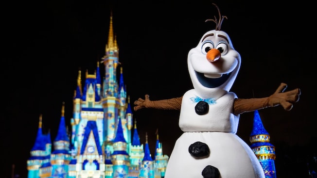 Thumbnail of Frozen Holiday Surprise