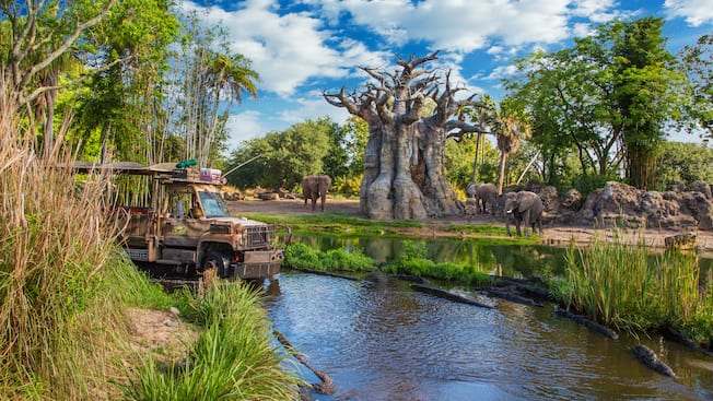 Thumbnail of Kilimanjaro Safaris