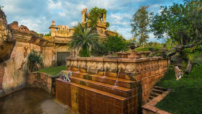 Thumbnail of Maharajah Jungle Trek