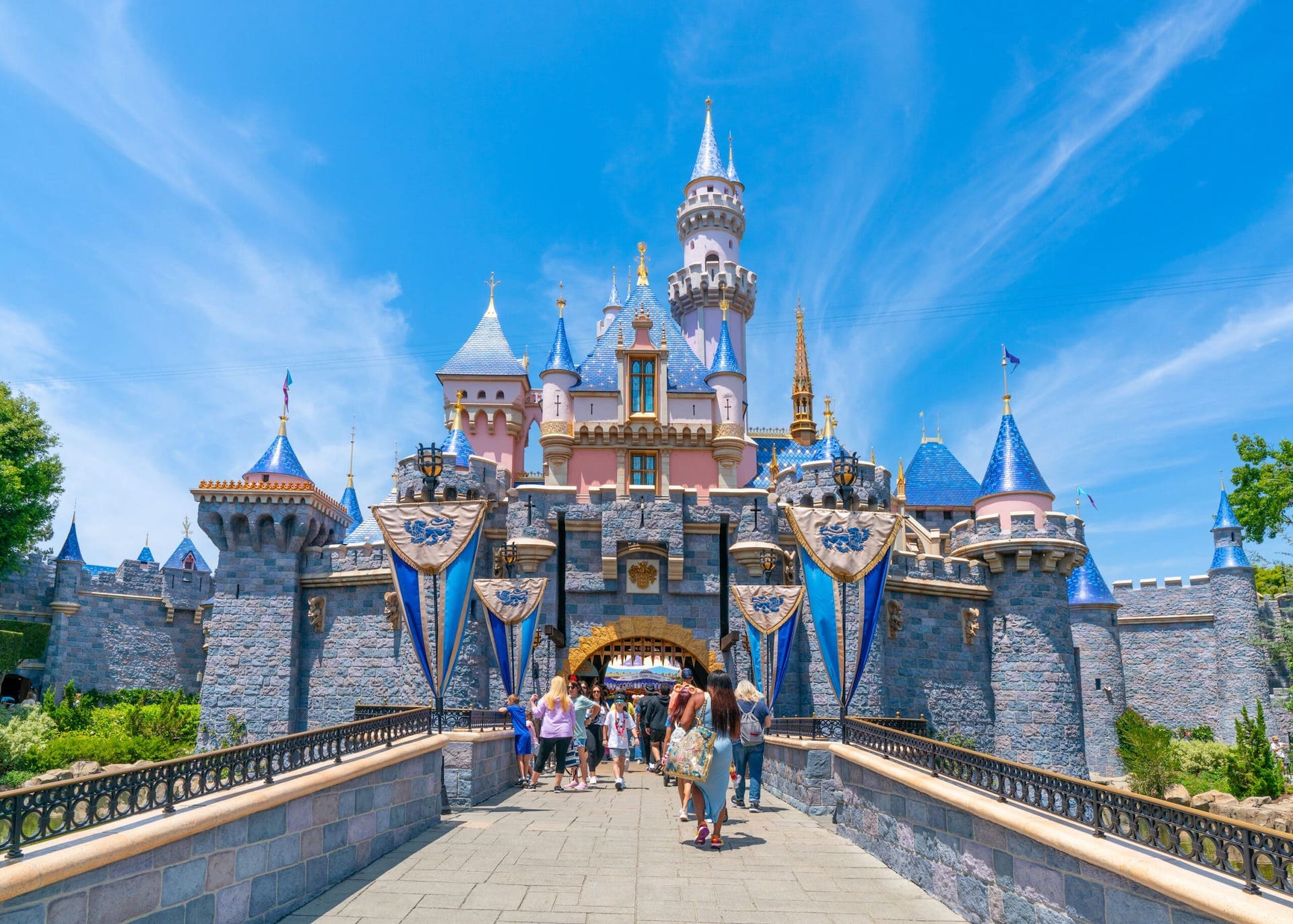 Disney Castle