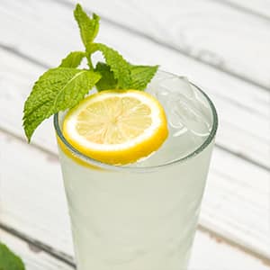 New Orleans Mint Julep