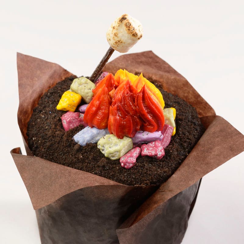 Campfire Cupcake