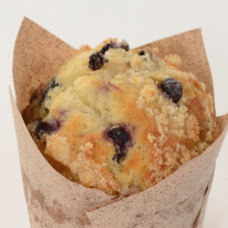Blueberry Muffin