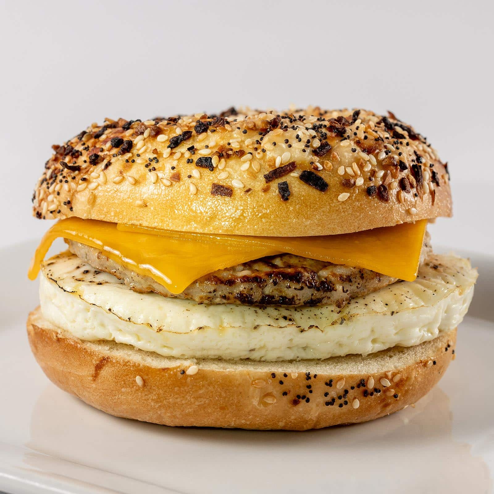 Everything Bagel Sandwich