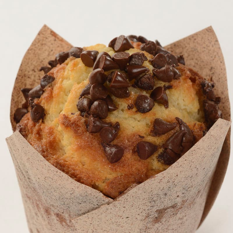Chocolate Chip Muffin