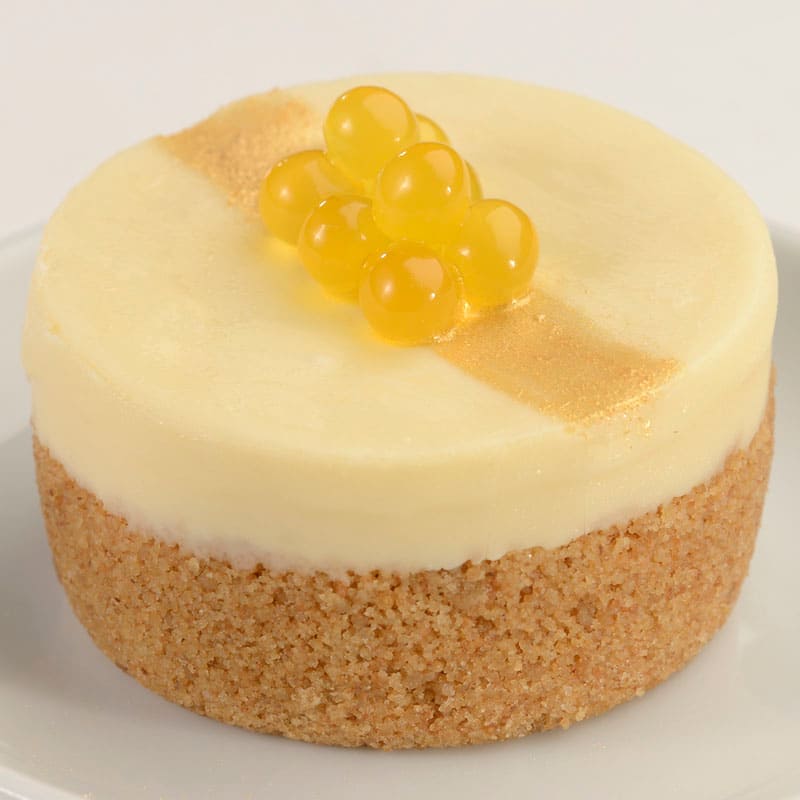 Tropical Paradise Cheesecake
