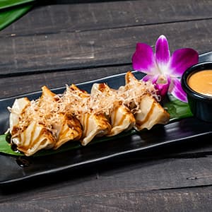 Pork Gyoza