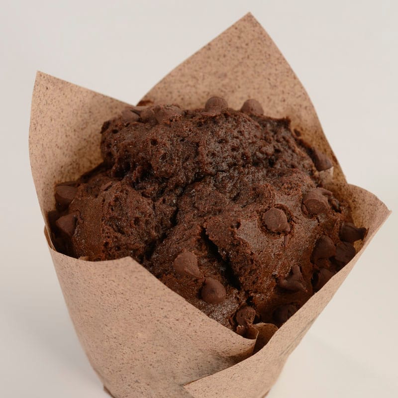 Double Chocolate Chip Muffin