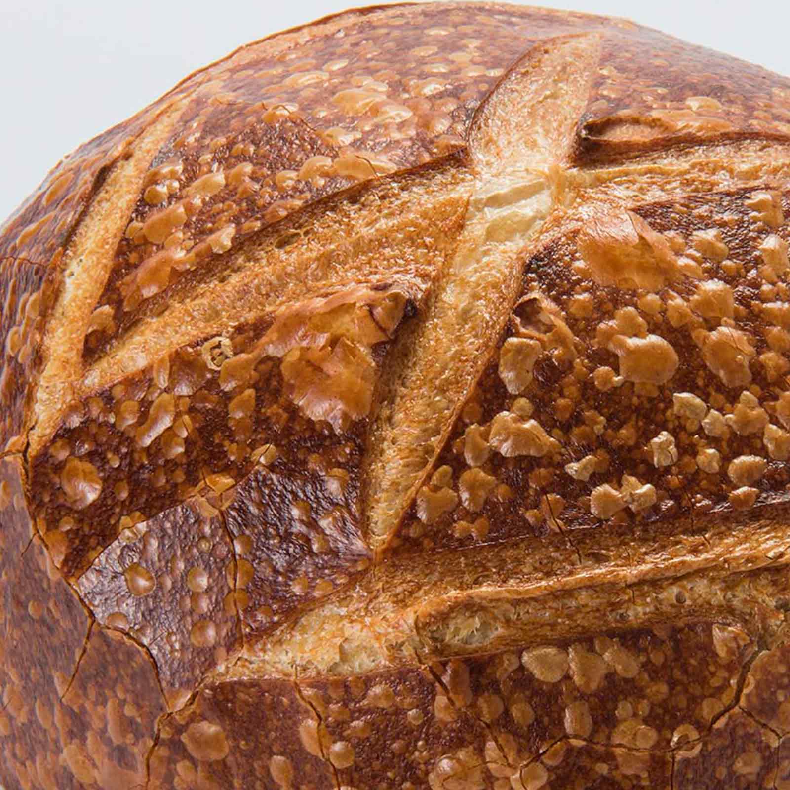 Sourdough Round