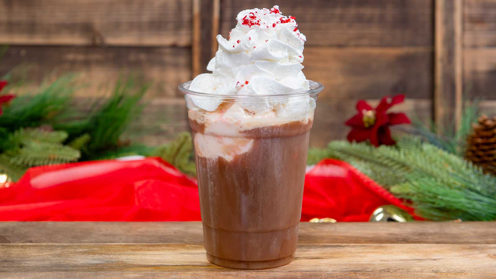 Peppermint Cold Brew Float