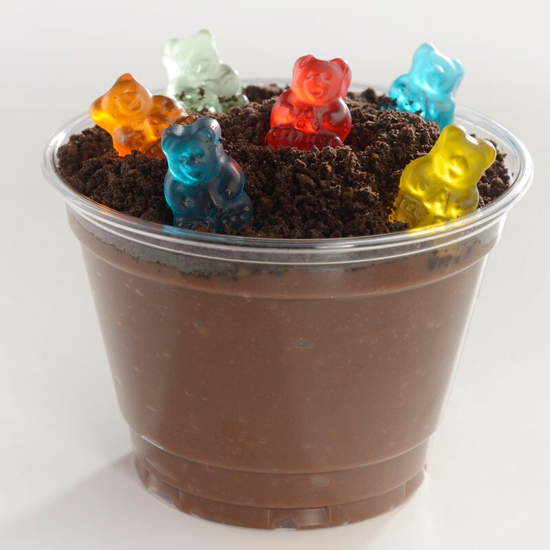 Bears in Dirt