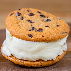 Ice Cream Sandwich