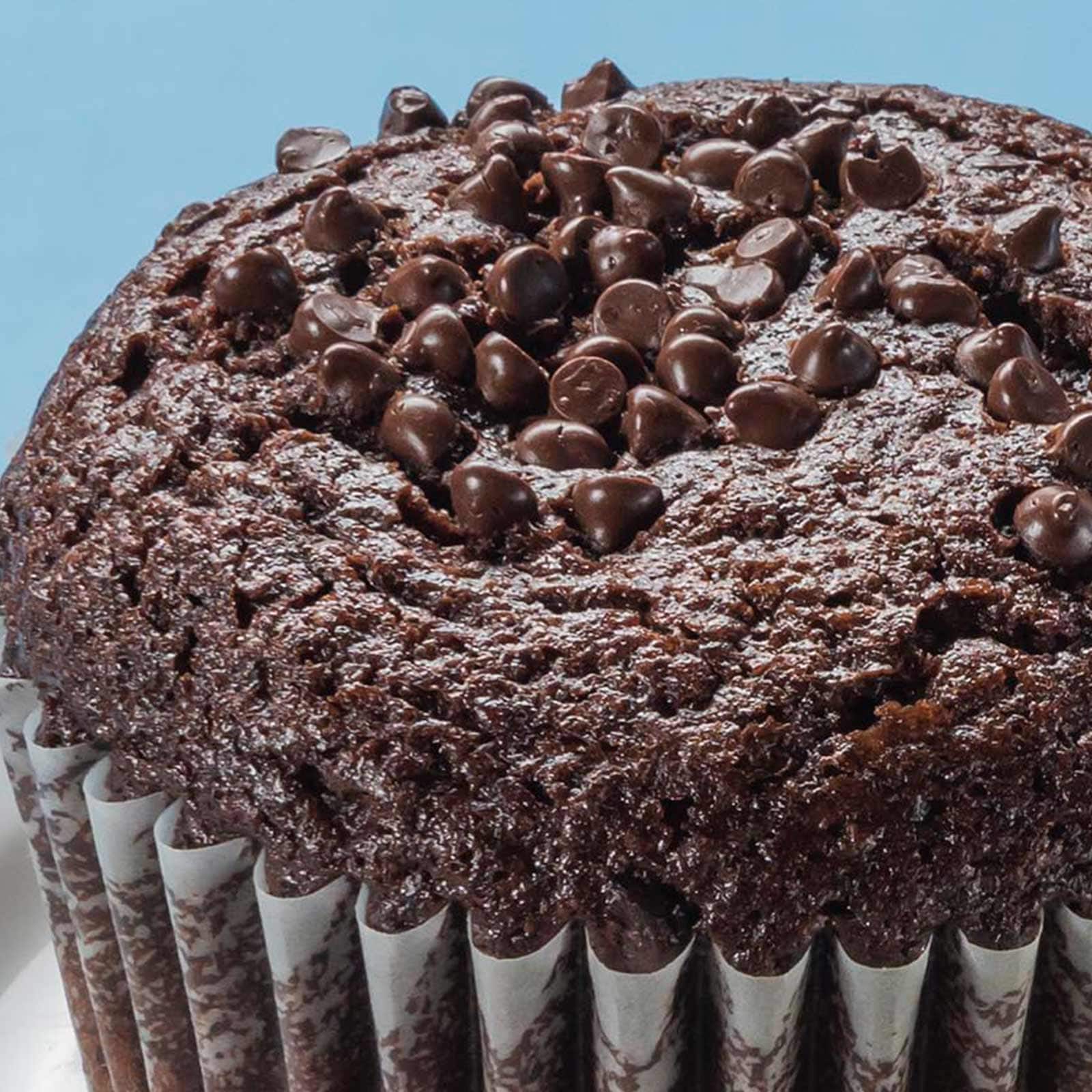 Double Chocolate Chip Muffin