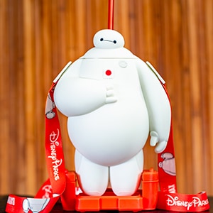 Baymax Sipper