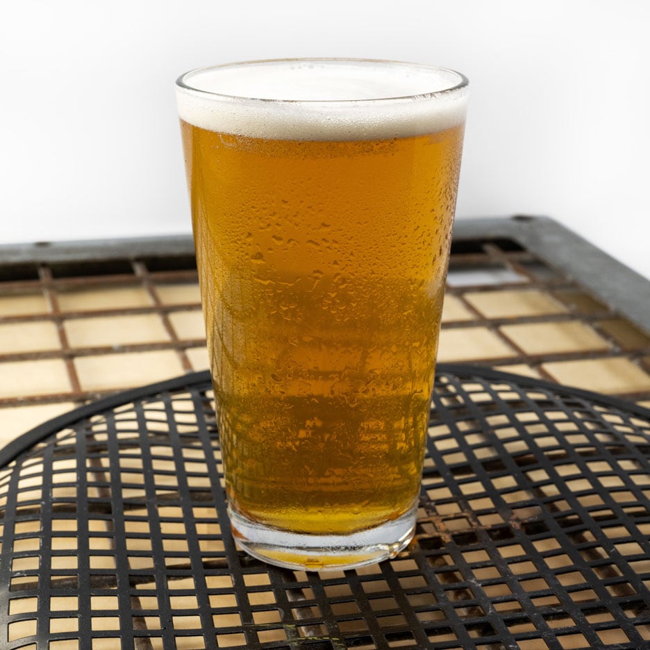 Surabat Valley Harvest Brew - Terrapin Beer Co