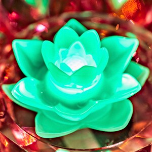 Lotus Flower Glow Cube 