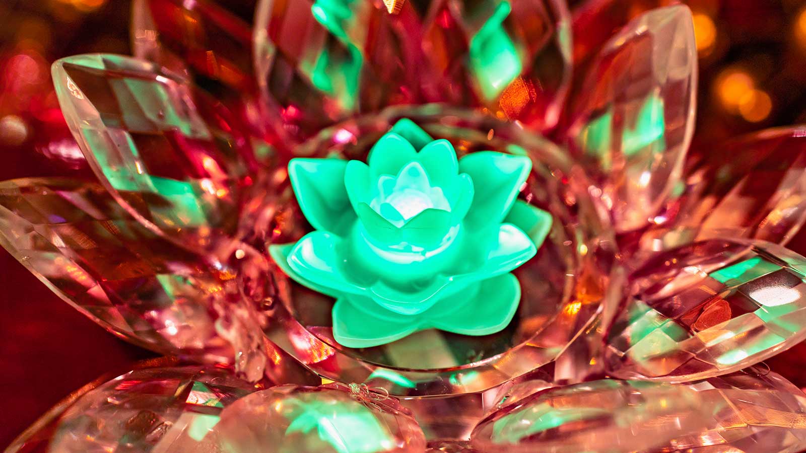 Lotus Flower Glow Cube 