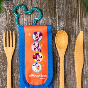 Reusable Utensils