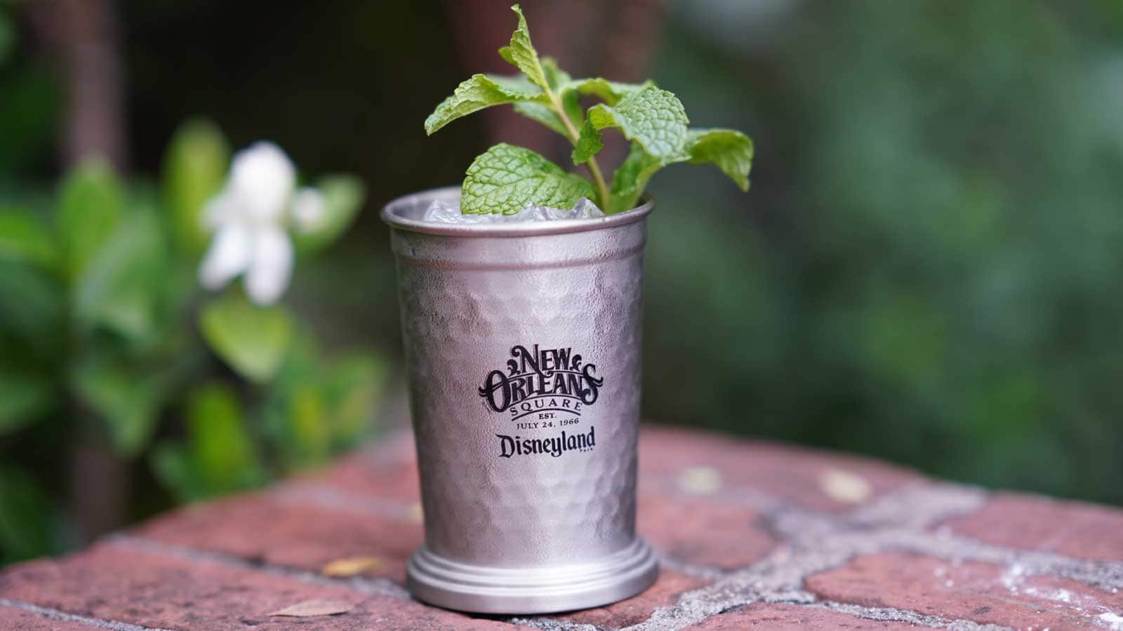 Mint Julep Cup