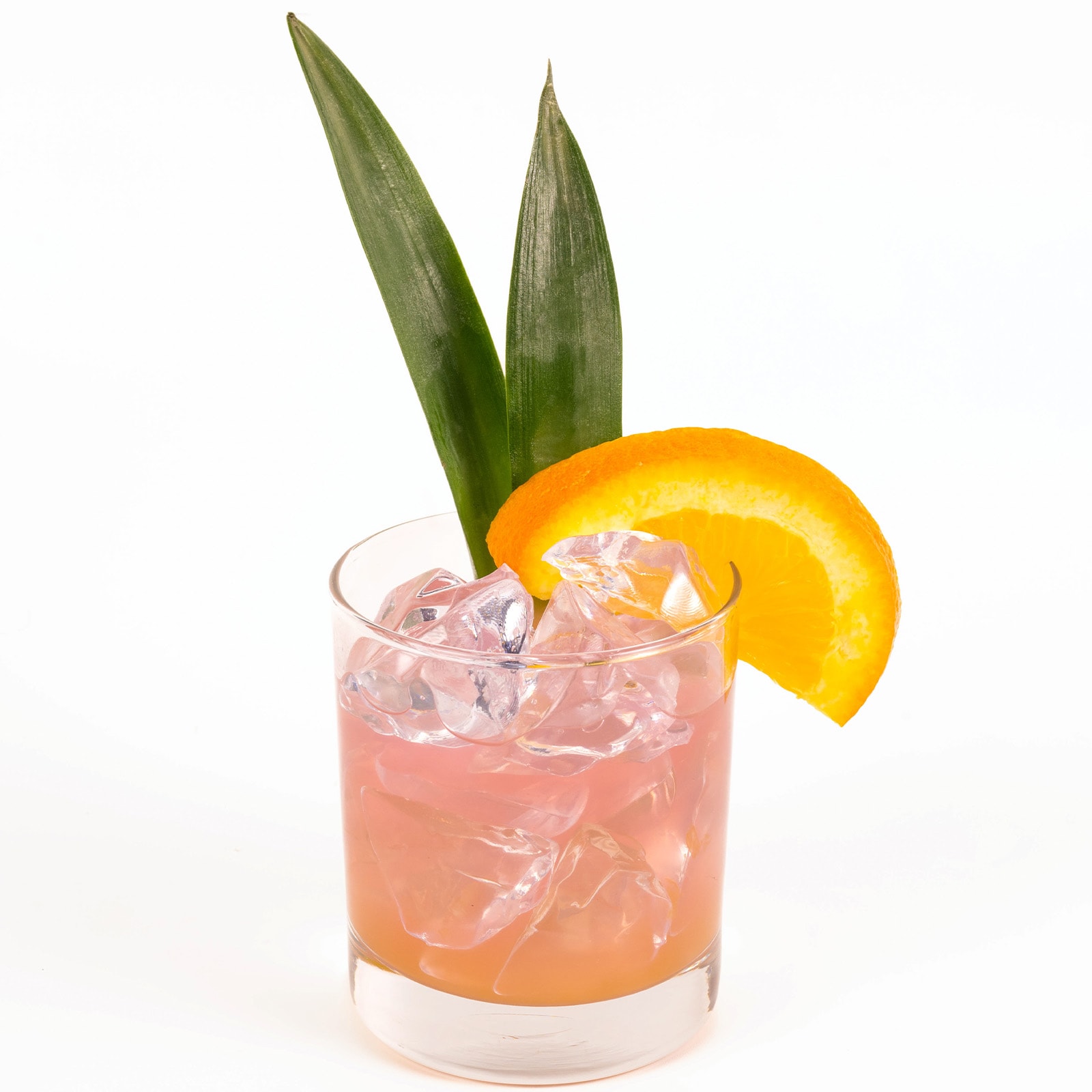 Pink Paloma