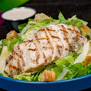 Chicken Caesar Salad 