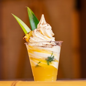 DOLE Whip® Pineapple Ginger Mint Float 