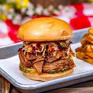 Peanut/Tree Nut Allergy-Friendly Barbecue Pulled Pork Sandwich