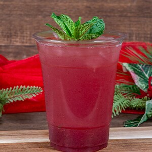 Cranberry Pomegranate Mint Julep