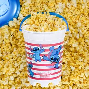 Magic Key Stitch Popcorn Bucket