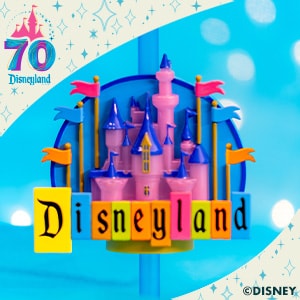 70th Celebration Disneyland Marquee Bottle Topper 
