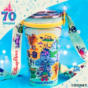 Disneyland 70th Celebration Stainless Steel Tumbler