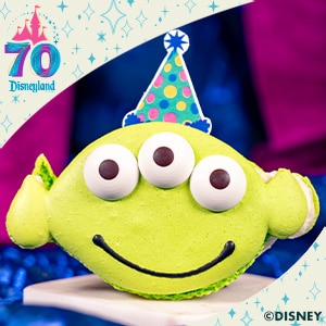 70th Celebration Macarooooon 