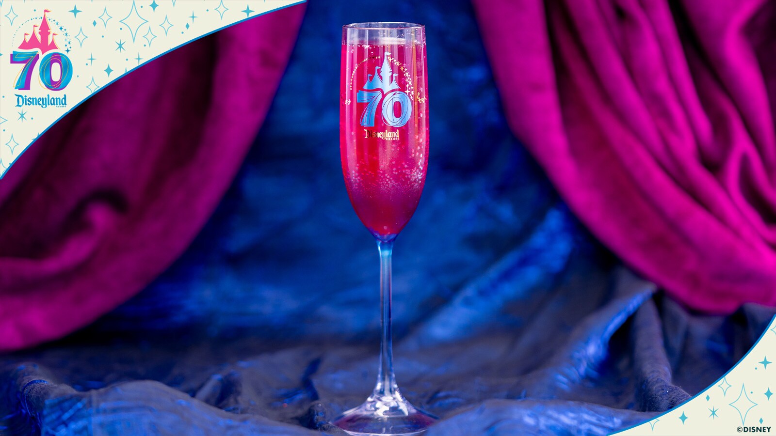 Disneyland 70th Celebration Acrylic Flute