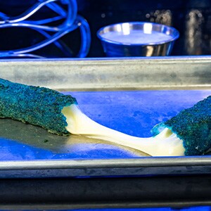 Fantastic Elastic Mozzarella Stick