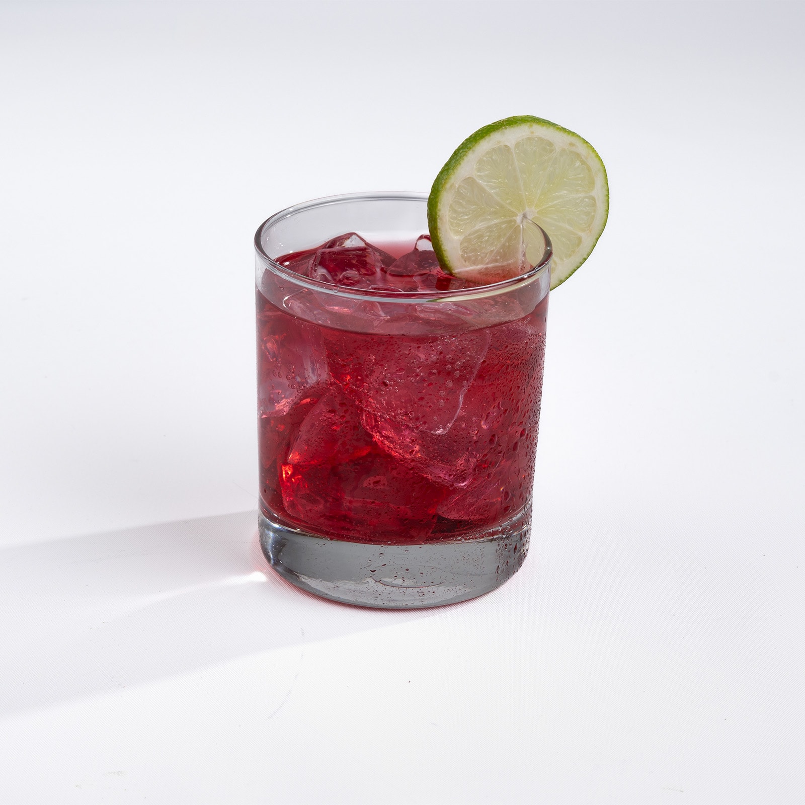 Winter Paloma
