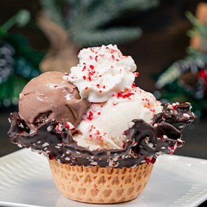 Chocolate-Peppermint Sundae 