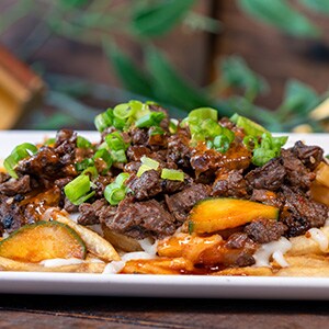 Bulgogi Fries 
