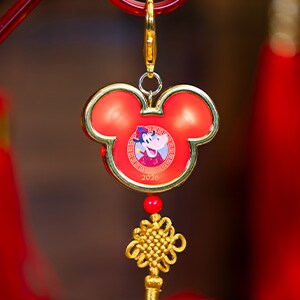 Lunar New Year Straw Clip 