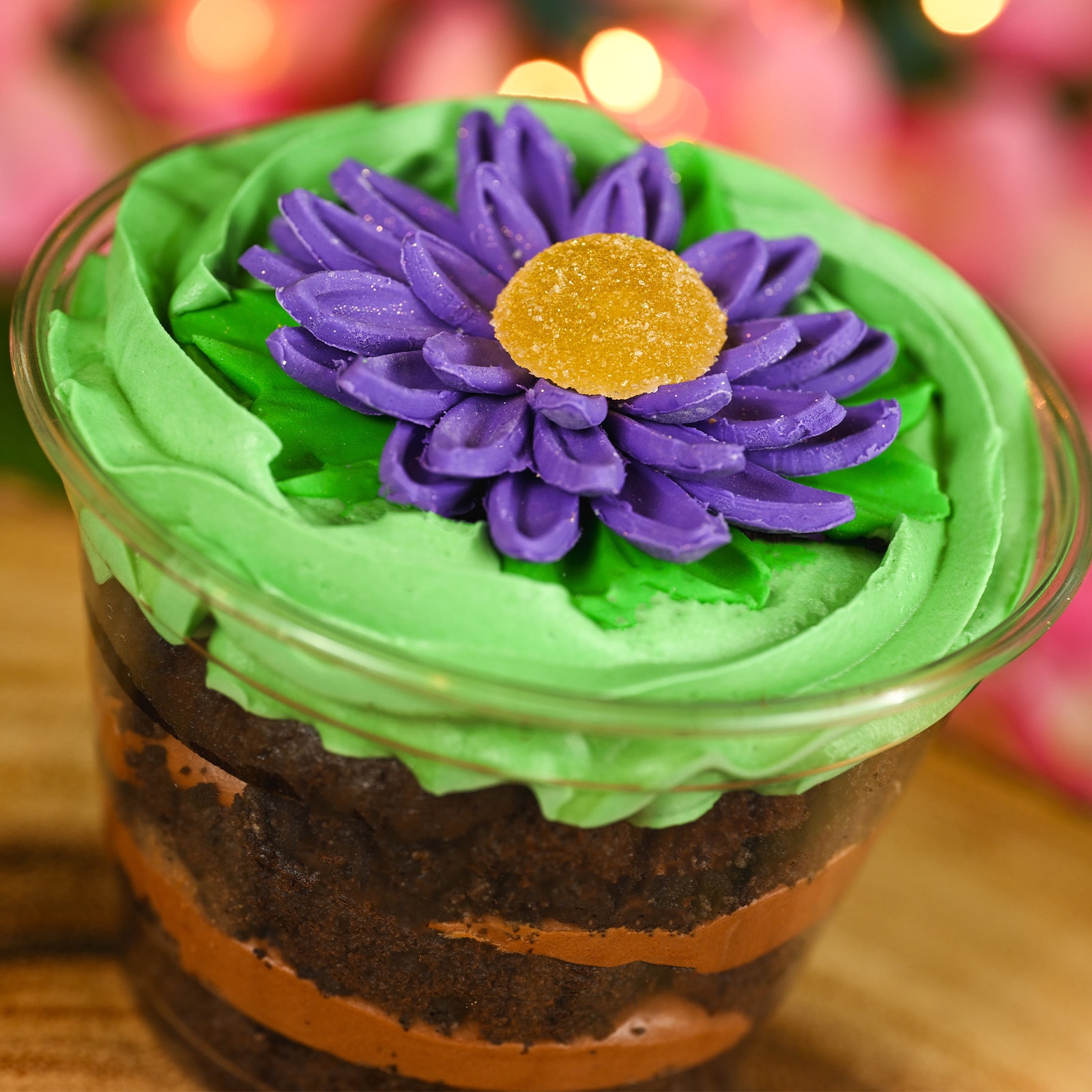Bunny Burrow Dirt Cup