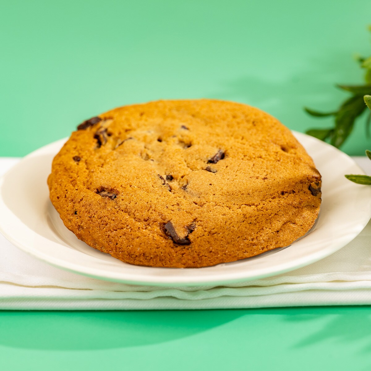 Chocolate Chip Cookie