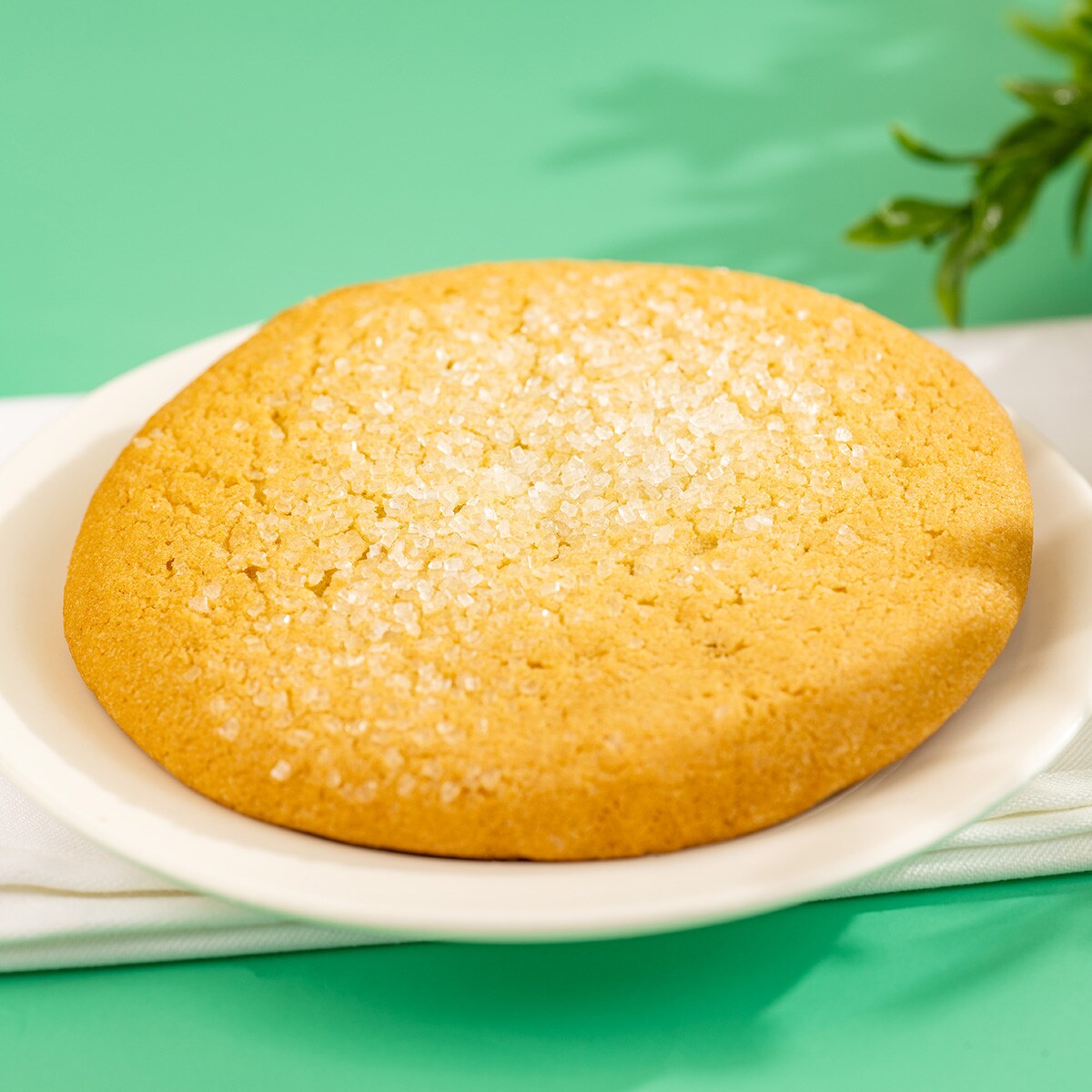 Sugar Cookie