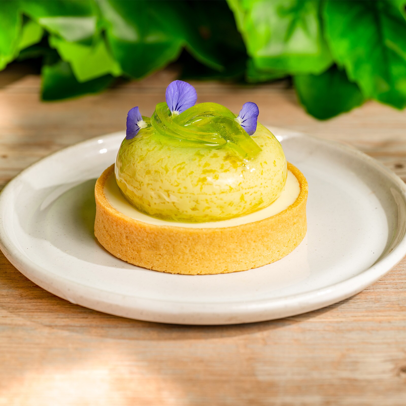 Key Lime-Grapefruit Tart