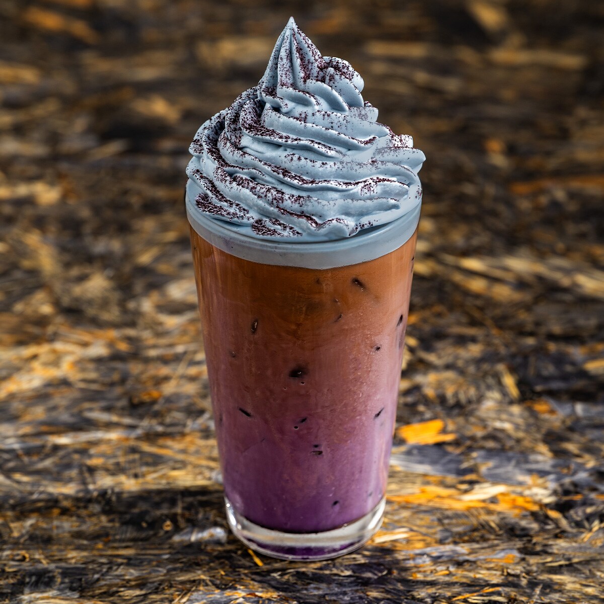 Specialty Chai Cold Brew
